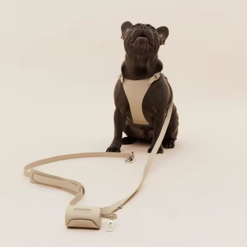 Robustes Geschirr Mikrofaser Leder